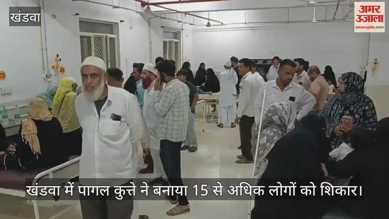 Khandwa News: Mad dog attacks 13 children in Khatri Colony