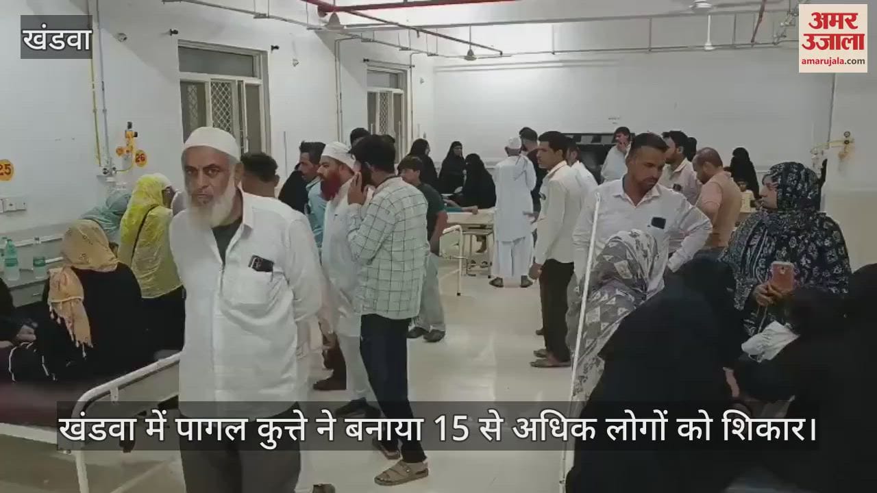 Khandwa News: Mad dog attacks 13 children in Khatri Colony