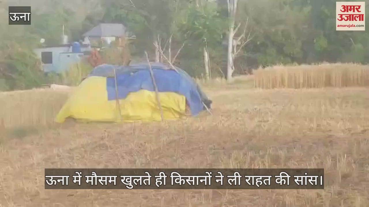 as soon as the weather cleared in Una, farmers heaved a sigh of relief, the work of harvesting wheat will speed up