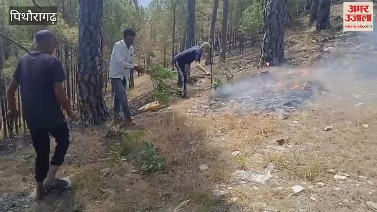 जंगल में लगी आग, तीन घंटे की कड़ी मशक्कत के बाद पाया वनाग्नि पर काबू
