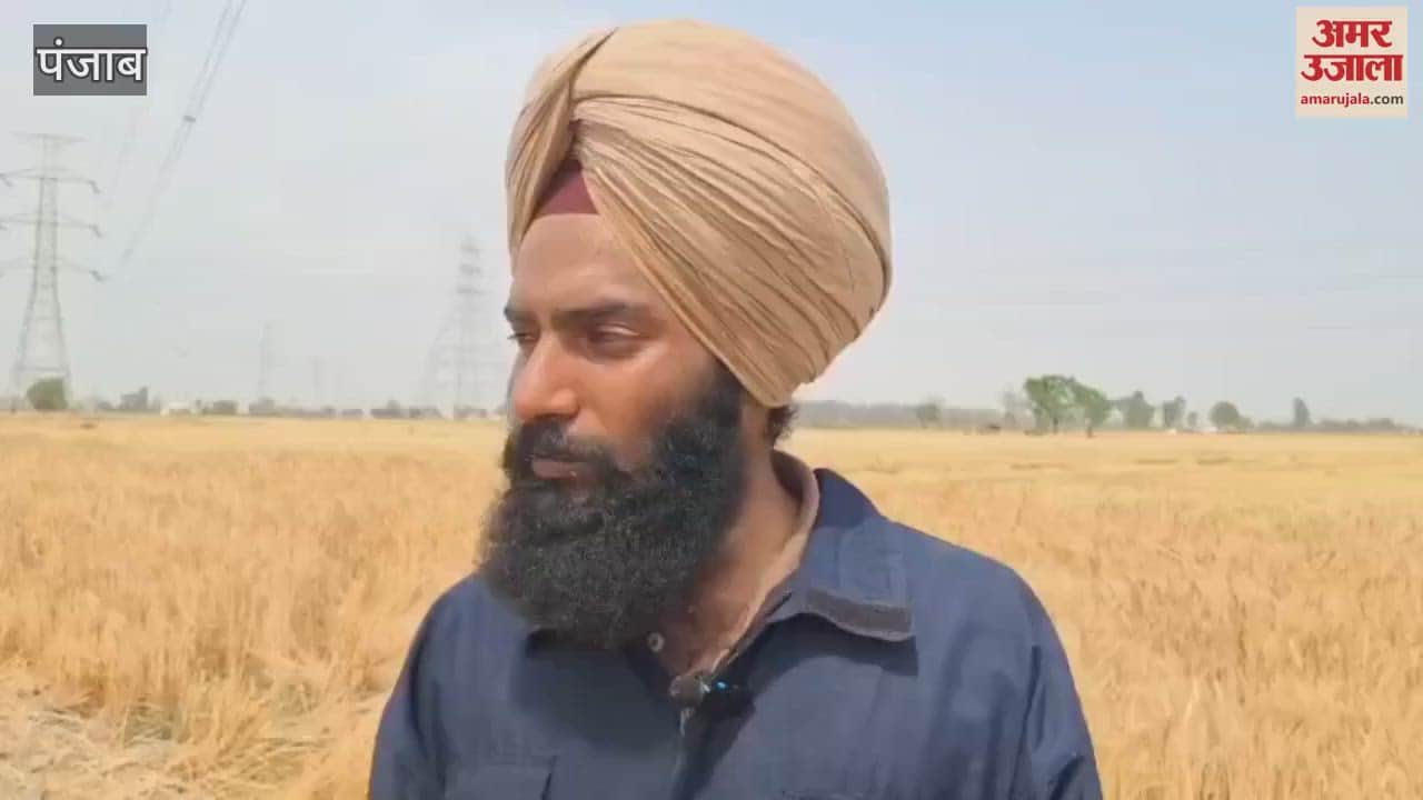 कपूरथला के तीन गांवों की 200 एकड़ गेहूं-नाड़ जलकर राख