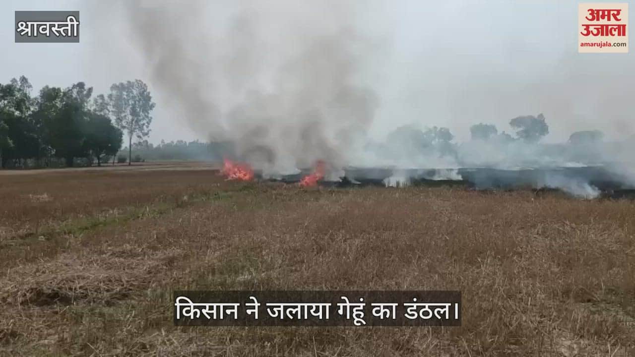 श्रावस्ती: प्रतिबंध के बाद भी किसान जला रहे फसल अवशेष