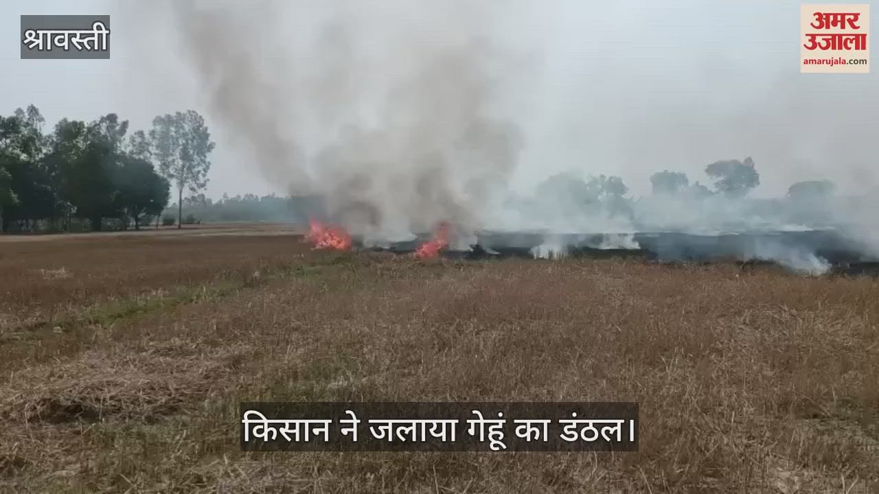 श्रावस्ती: प्रतिबंध के बाद भी किसान जला रहे फसल अवशेष