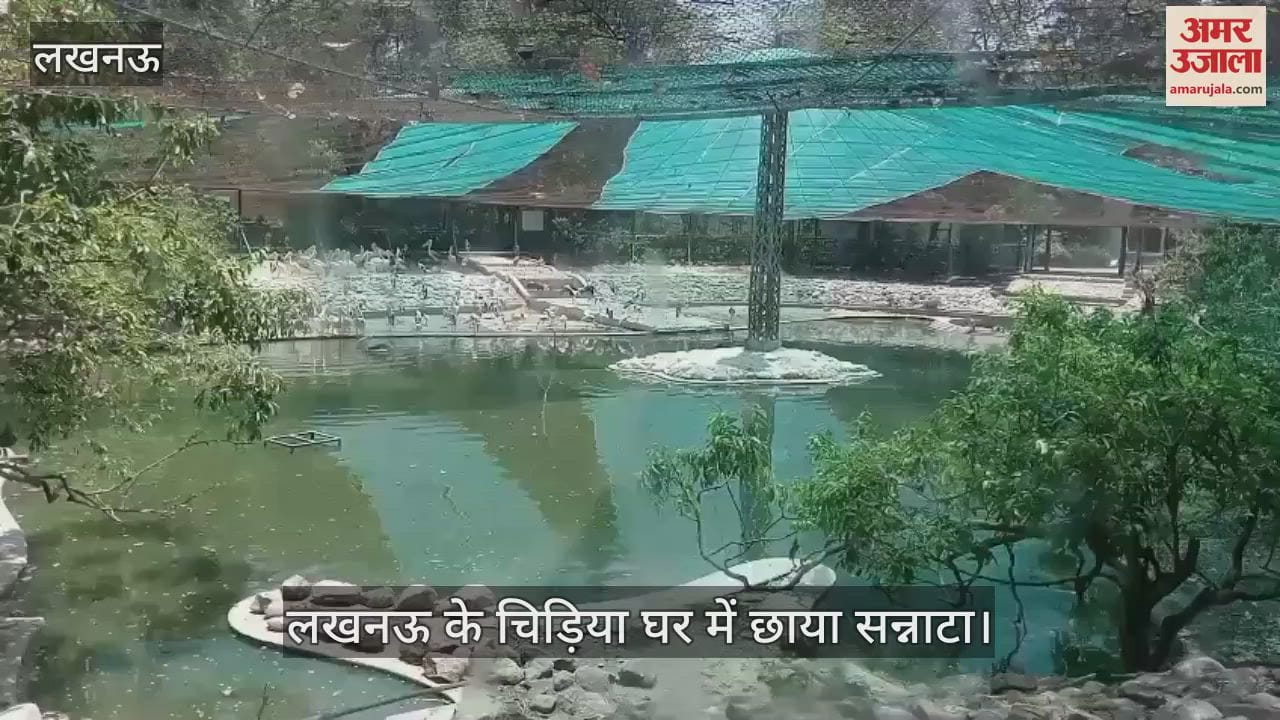 Lucknow: गर्मी की तपिश बढ़ी, लखनऊ के चिड़िया घर में छाया सन्नाटा