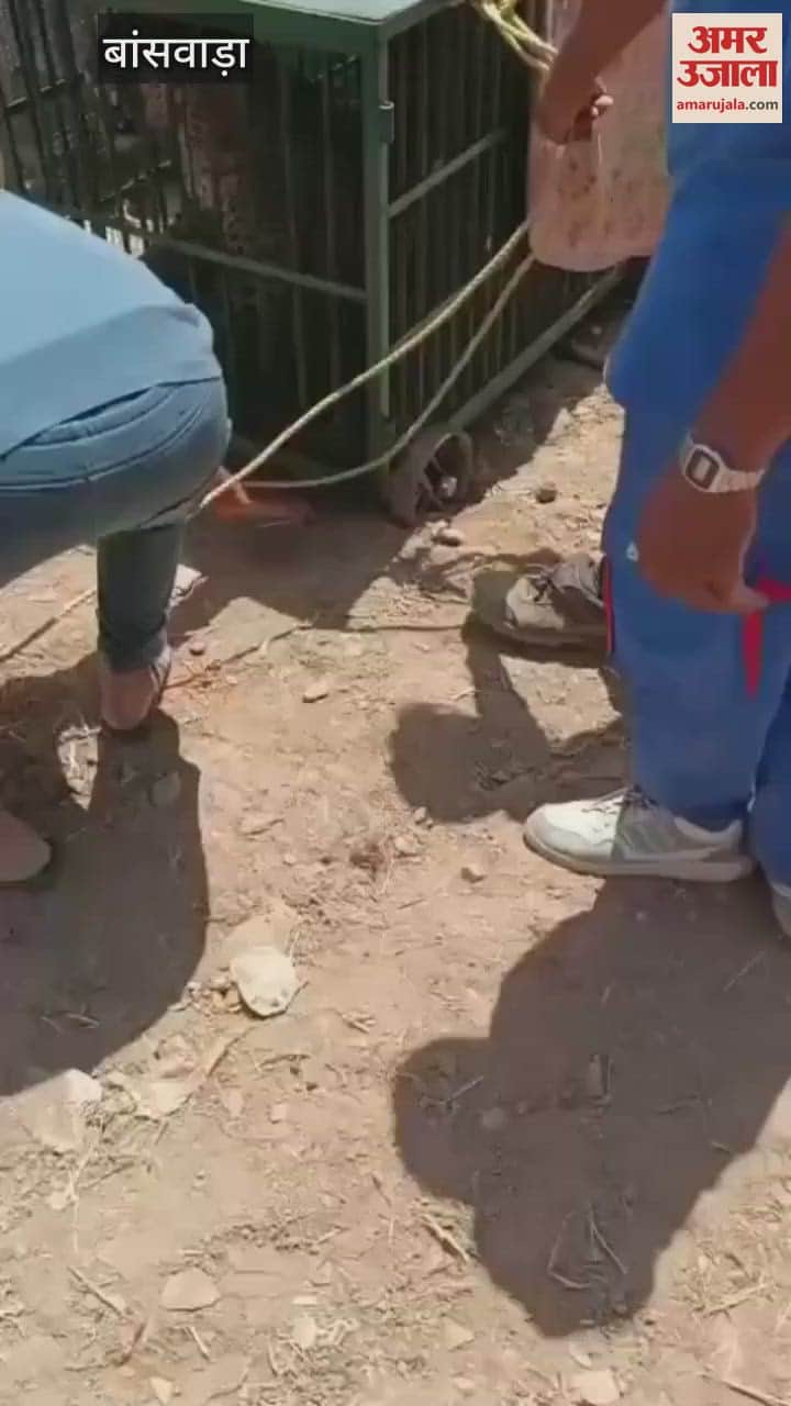 Banswara News: Leopard running after its prey fell into a well and got itself into trouble