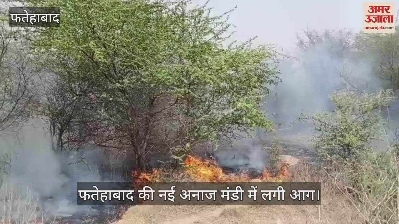Fire broke out in Fatehabad new grain market