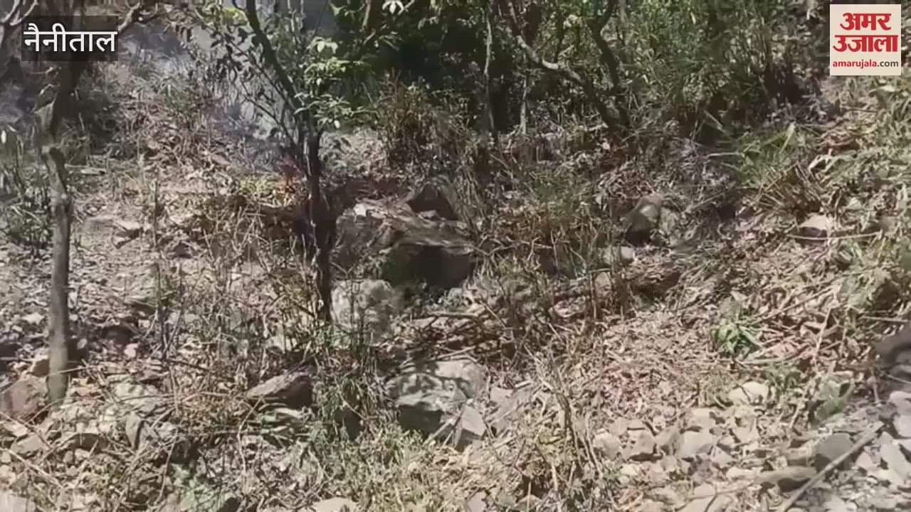 भीमताल: जंगल में लगी आग को बुझाने में जुटे वनकर्मी और महिलाएं