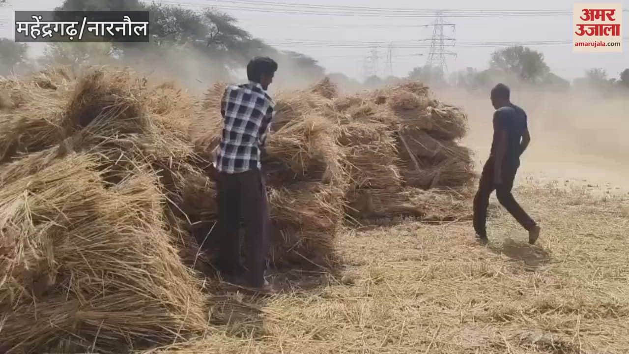 महेंद्रगढ़ जिले में गेहूं की थ्रेसिंग का काम पूरा
