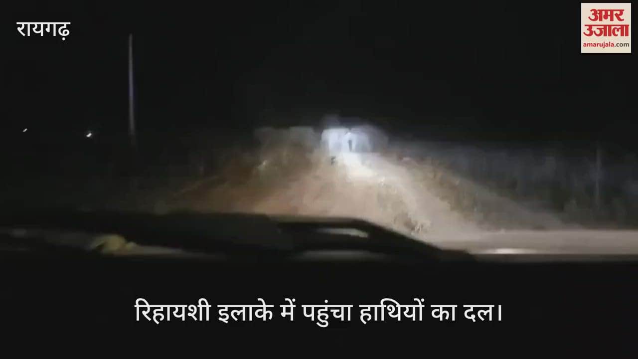 group of wild elephants reached residential areas video of them harassing by throwing gulal goes viral