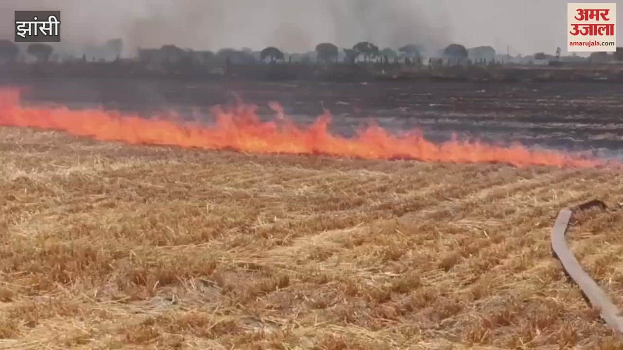 Stubble fire broke out in Mauja Chamraimali Bahadurpur and Datawali of Samthar in Jhansi