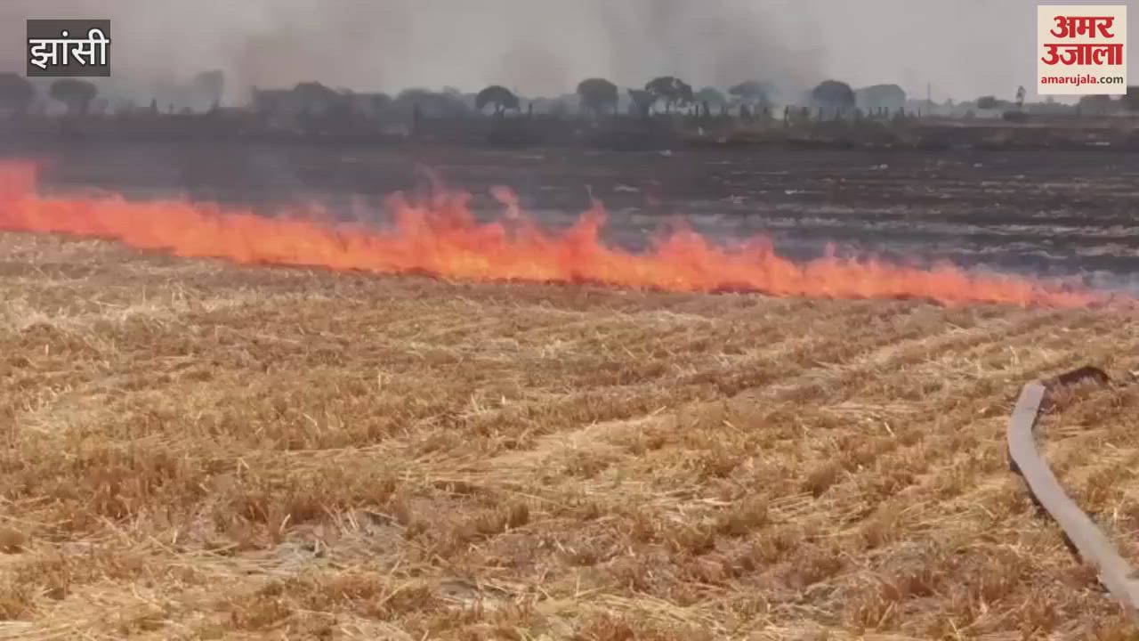 Stubble fire broke out in Mauja Chamraimali Bahadurpur and Datawali of Samthar in Jhansi
