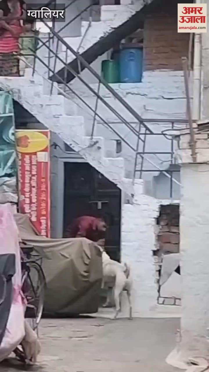 An incident that puts humanity to shame in Gwalior