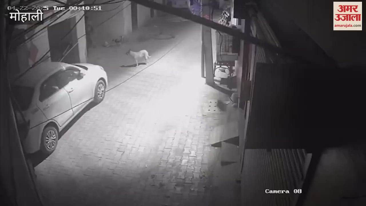 नयागांव में बुलेट मोटरसाइकिल चोरी कर ले गया चोर