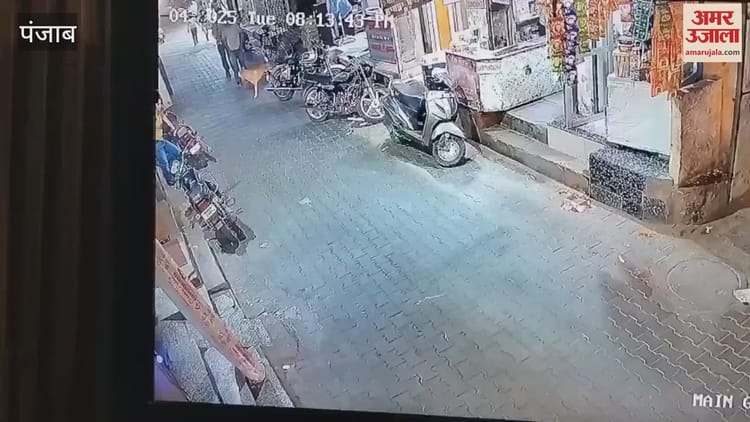 Two Man Murdered In Firozpur – Amar Ujala Hindi News Live