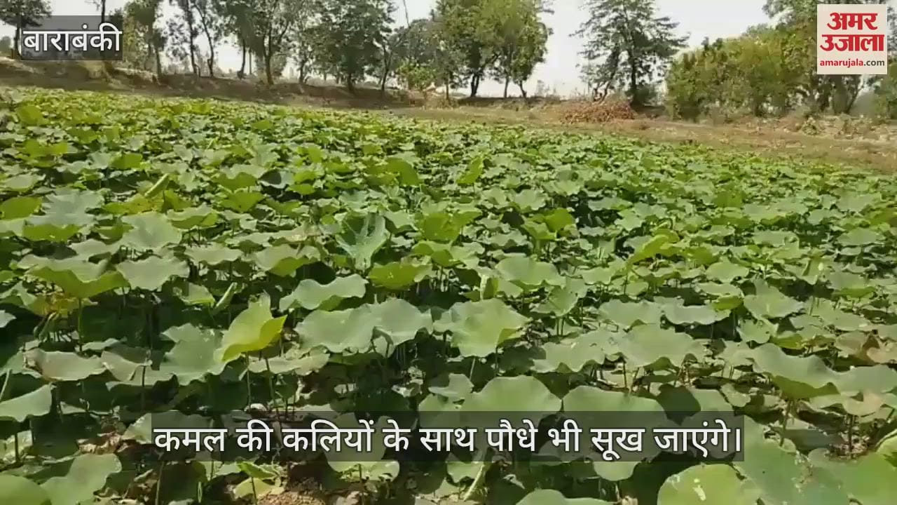 बाराबंकी में सूख रहा हराभरा सरोवर, वीरान होने की आशंका