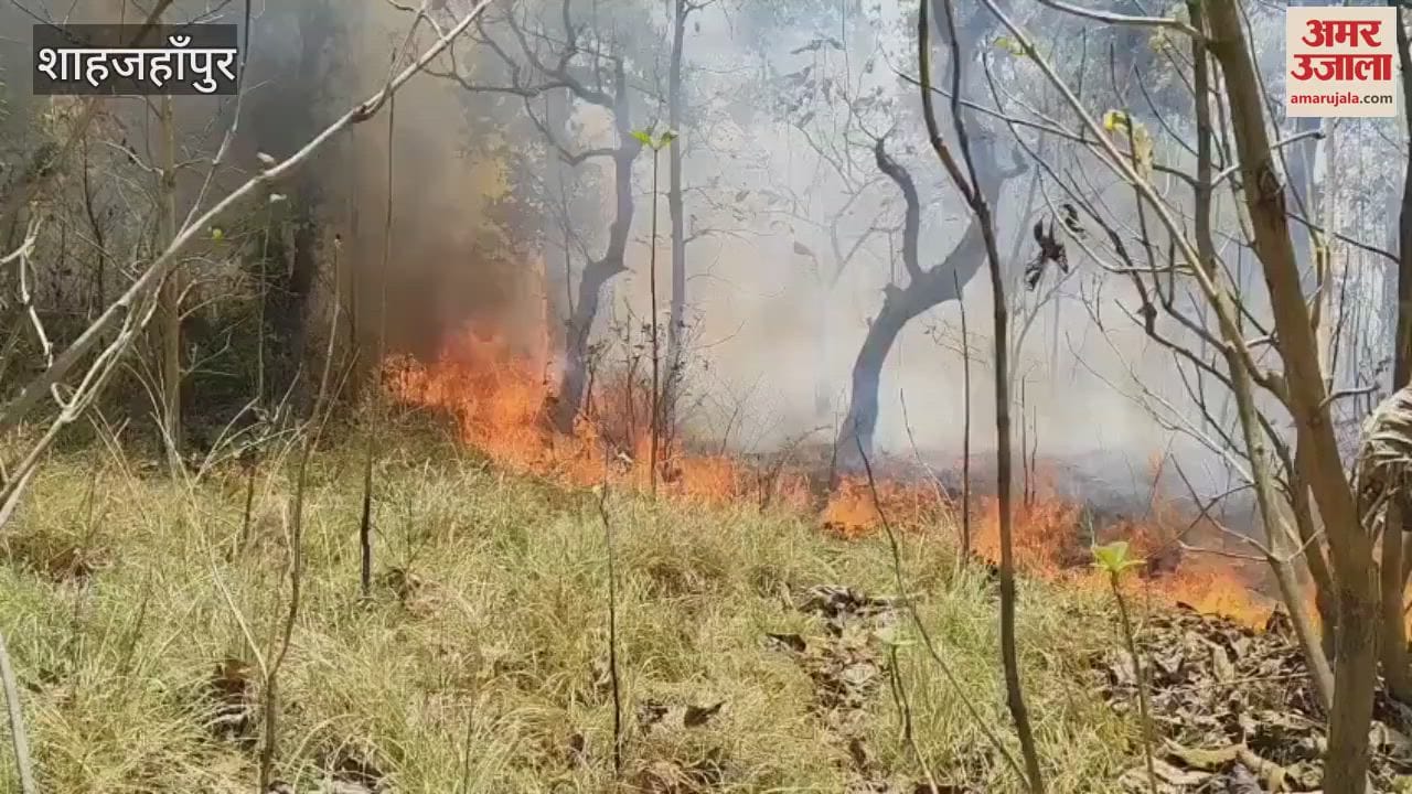 fire broke out in the forest of Khutar range of Shahjahanpur