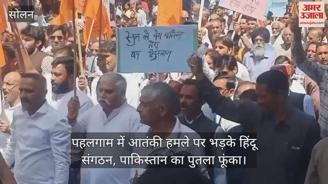 Hindu organizations furious over terrorist attack in Pahalgam, burnt effigy of Pakistan