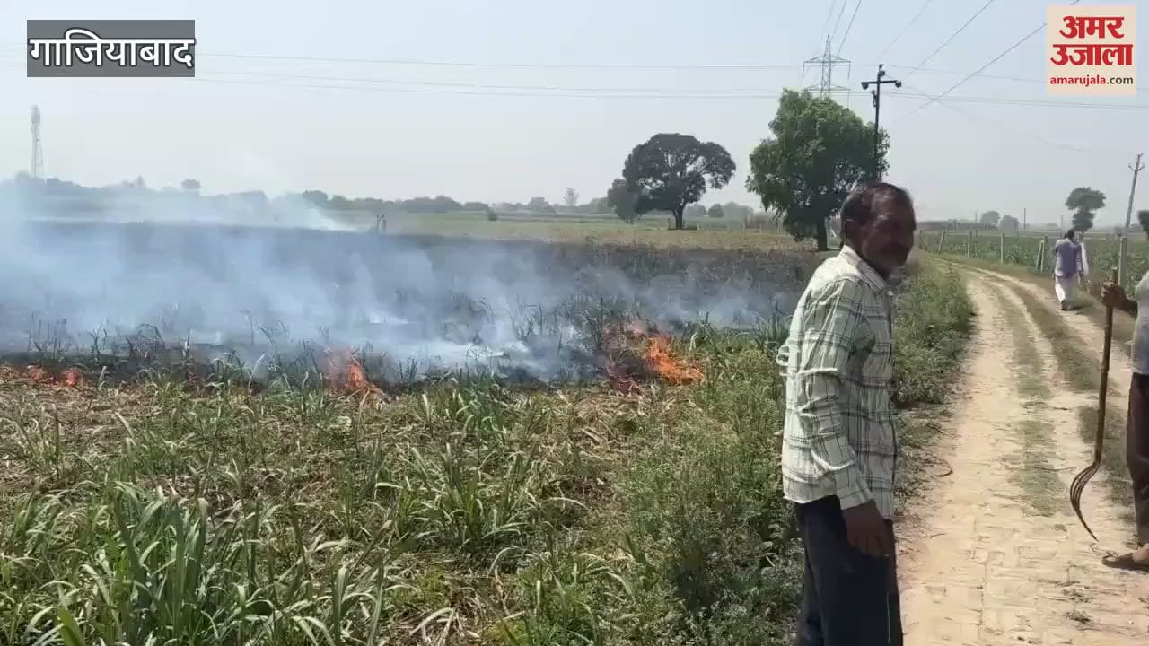 A spark from a high tension line caused a fire in a sugarcane field