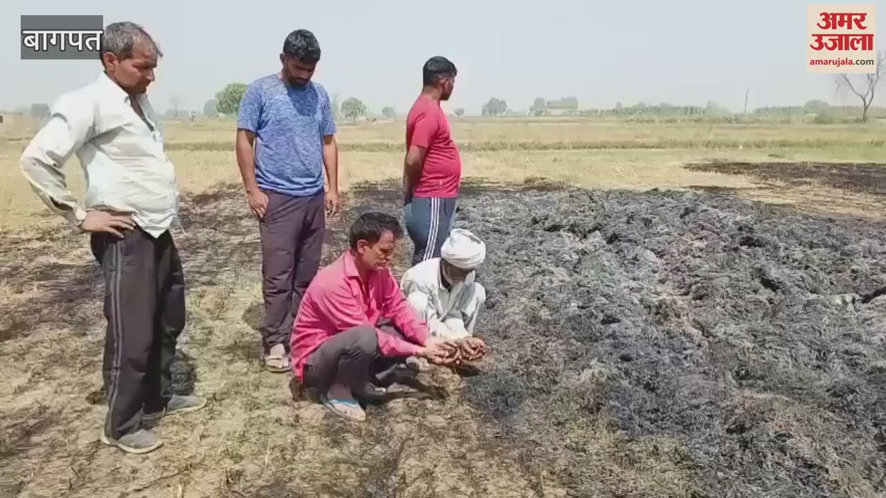 In Baghpat, eight bighas of wheat crop of two farmers was burnt to ashes due to a spark from a high tension line