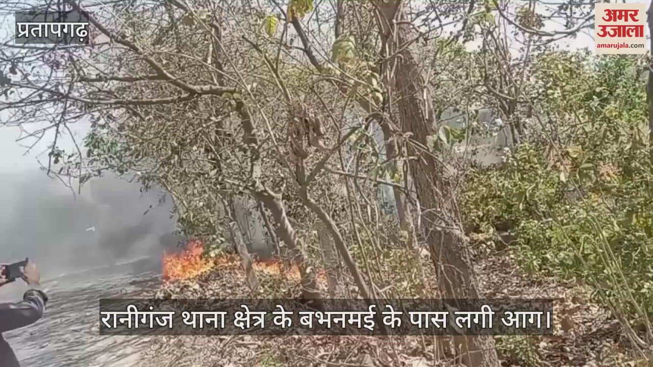 Fire broke out in the forest near Babhnamai in Raniganj today, the fire brigade team reached the spot