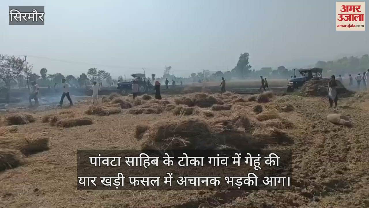 fire suddenly broke out in the standing wheat crop in Toka village of Paonta Sahib