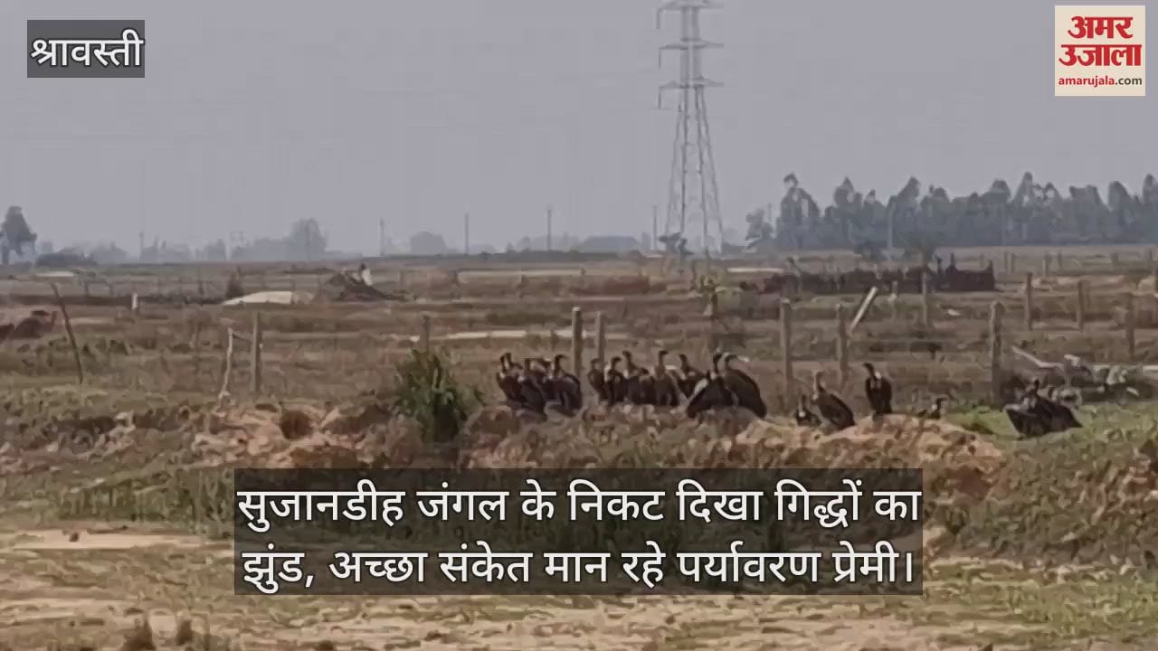 सुजानडीह जंगल के निकट दिखा गिद्धों का झुंड, अच्छा संकेत मान रहे पर्यावरण प्रेमी