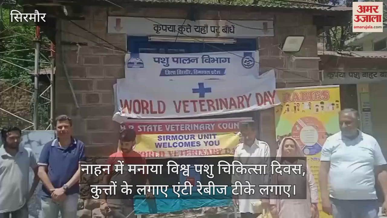 World Veterinary Day celebrated in Nahan, anti-rabies vaccines administered to dogs