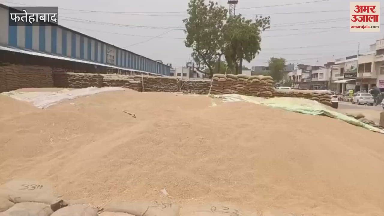 Eight bags of wheat were stolen from the old grain market of Fatehabad, the incident was captured on CCTV