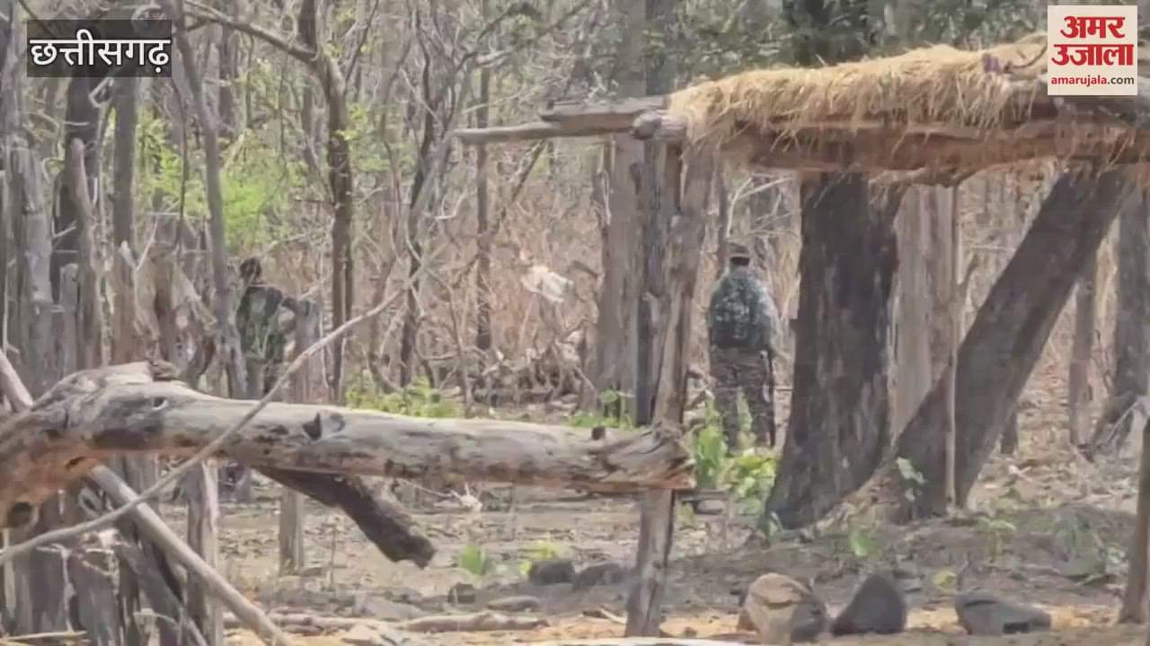 CG Carregutta Naxal Operation: कर्रेगुट्टा की पहाड़ियों में छिपे बैठे हैं खूंखार नक्सली; तीन से चार हेलीकॉप्टर से हो रही निगरानी