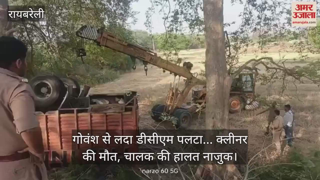 रायबरेली में गोवंश से लदा डीसीएम पलटा... क्लीनर की मौत, चालक की हालत नाजुक