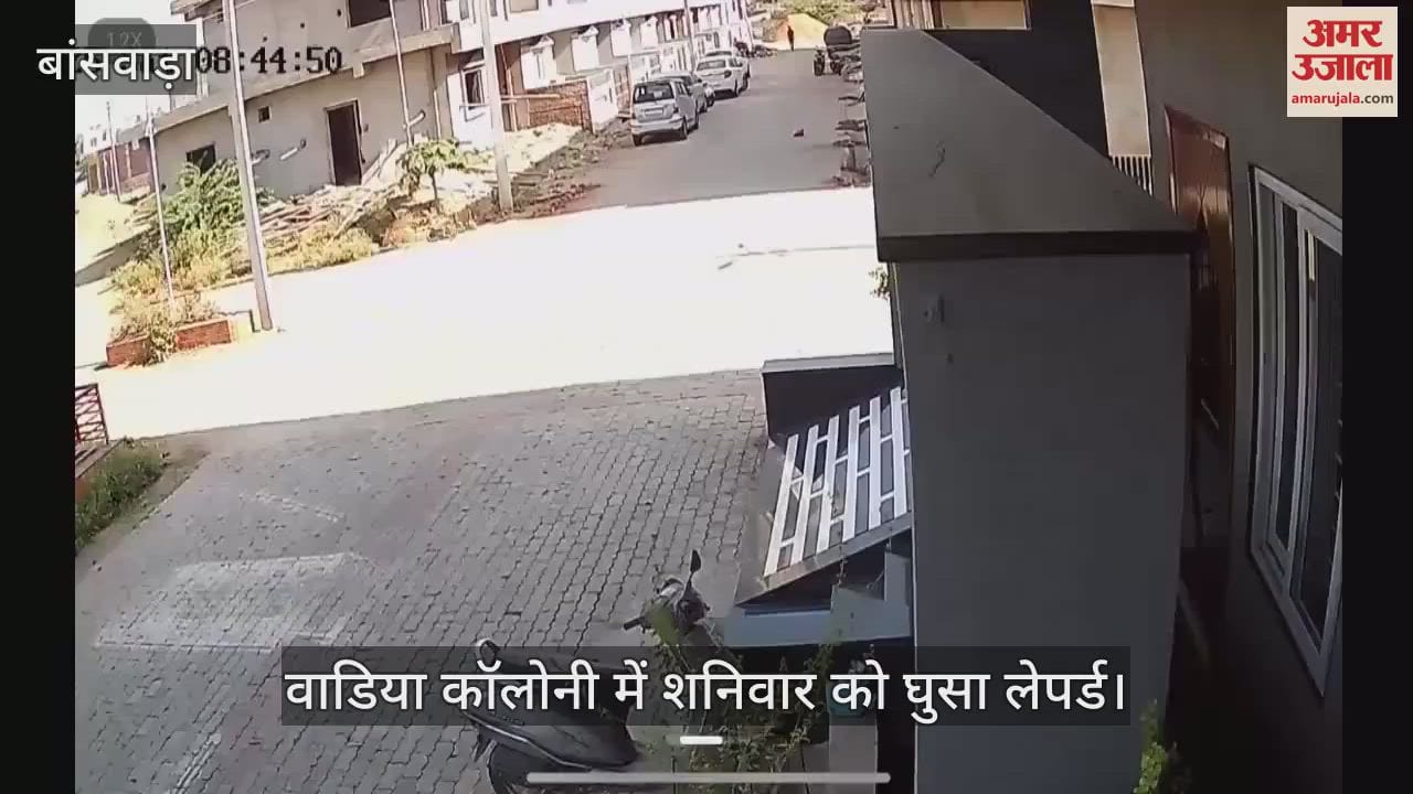 Banswara: Leopard entered populated area hid in bushes when dogs chased it Forest department engaged in search