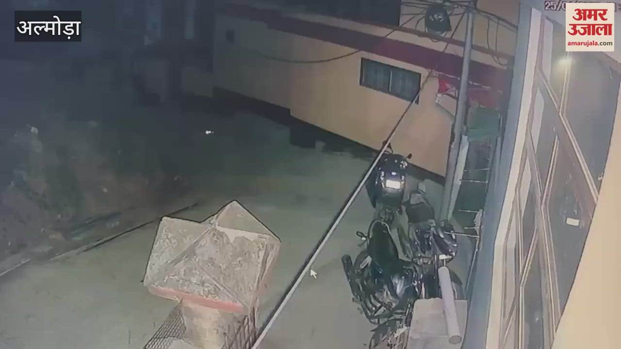 रानीधारा व पातालदेवी के पास टहलते दिखे तीन तेंदुए, सीसीटीवी देख लोगों में दहशत