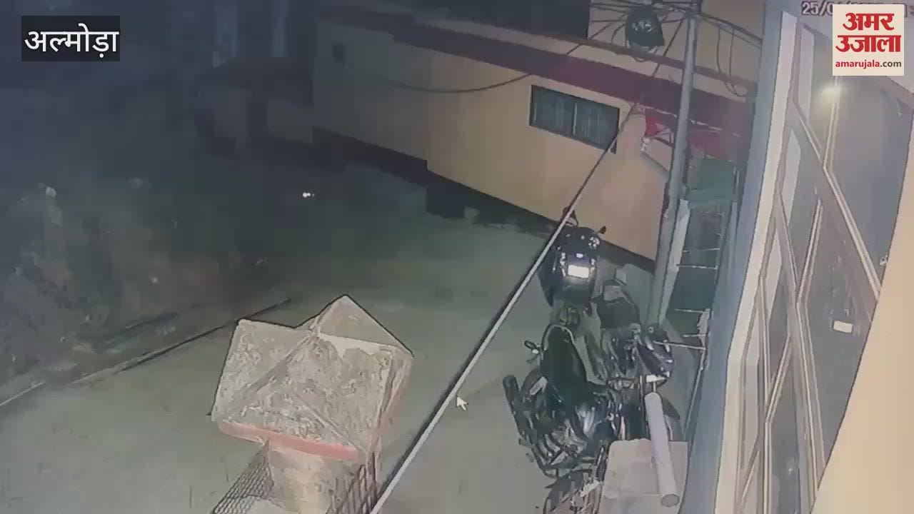रानीधारा व पातालदेवी के पास टहलते दिखे तीन तेंदुए, सीसीटीवी देख लोगों में दहशत