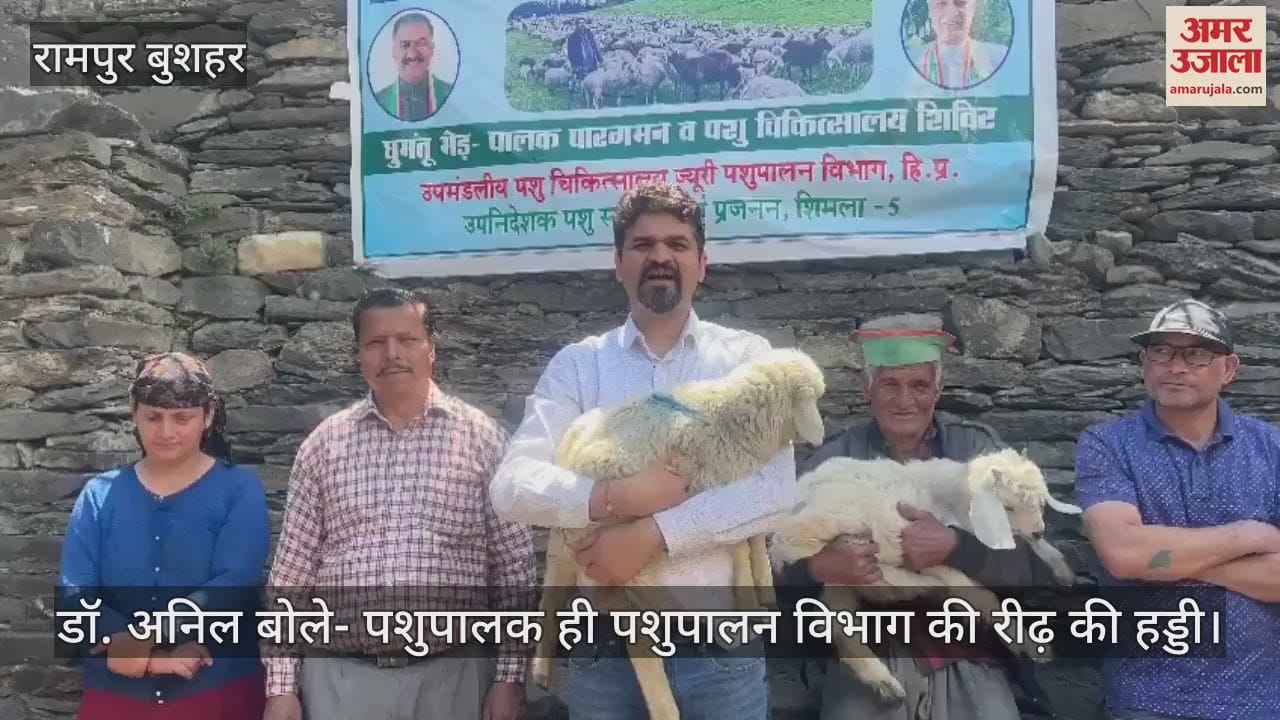 Rampur Bushahr: Dr. Anil said- Animal husbandry is the backbone of the Animal Husbandry Department