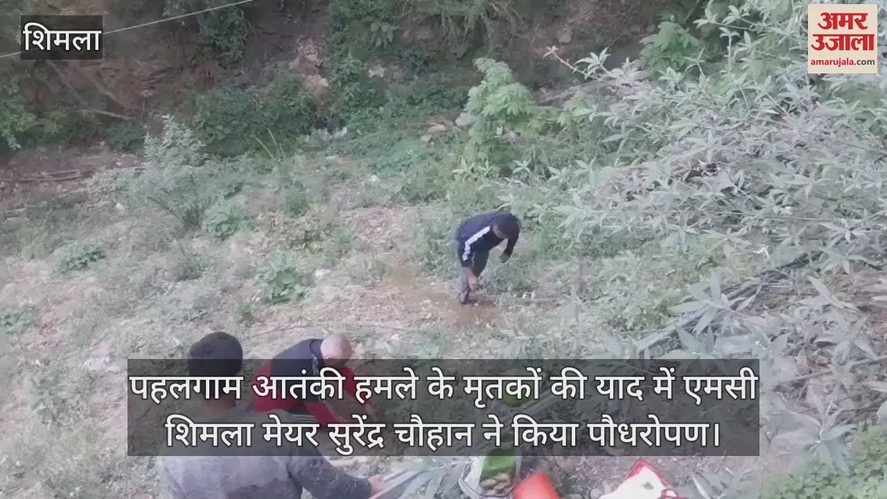 MC Shimla Mayor Surendra Chauhan planted a tree in memory of the victims of the Pahalgam terror attack