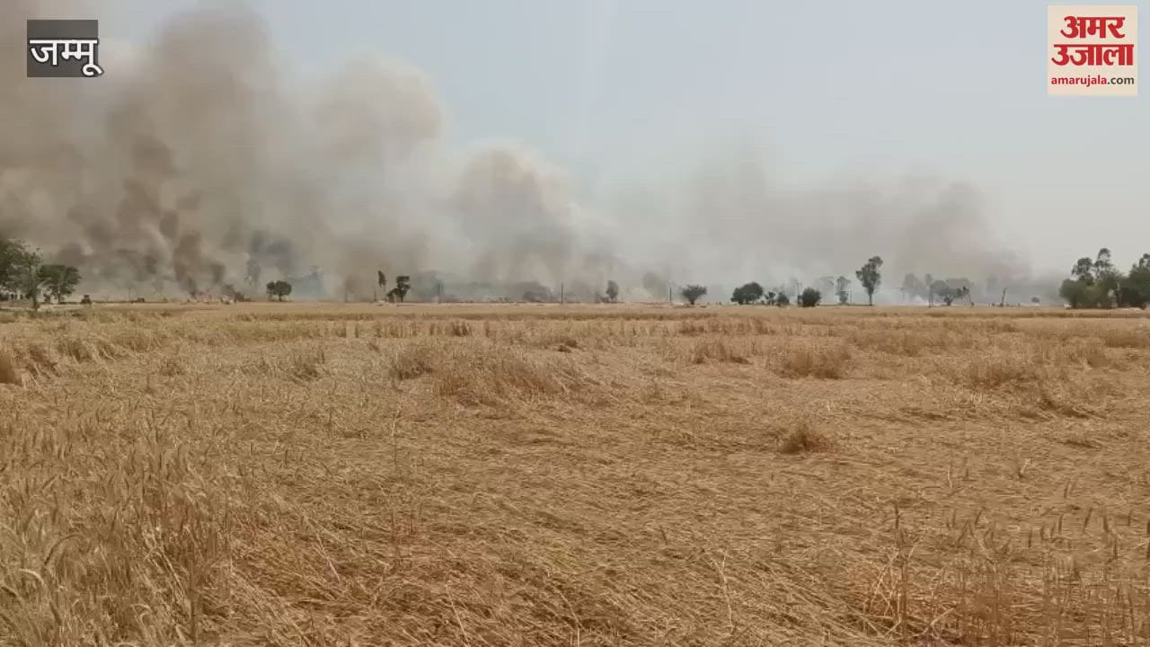 Massive fire in Ramgarh of Samba, thousands of Kanal wheat crop burnt to ashes, BSF took charge