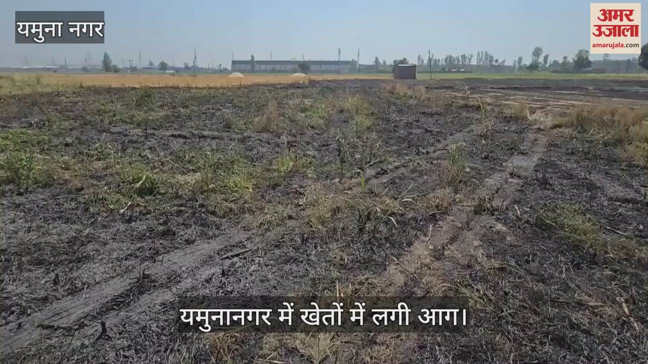 Fire in field at Yamunanagar