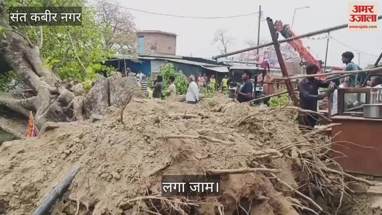 Tree fell due to strong storm, Ramjanaki road blocked- woman injured