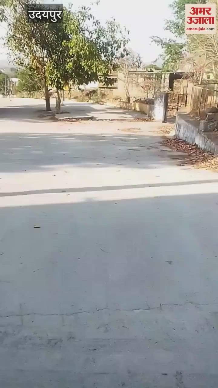 Udaipur News: Locks hanging in the hospital, woman gave birth to a child outside