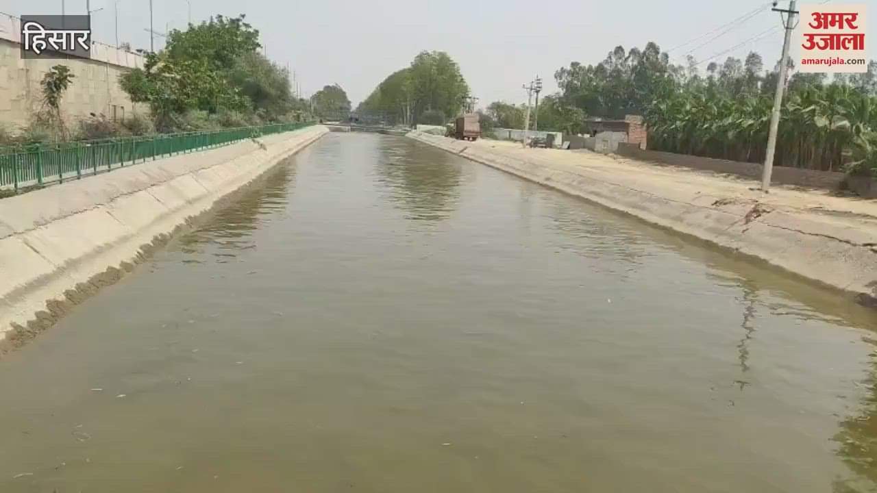 Water came in the canals in Hisar, work of filling water tanks started