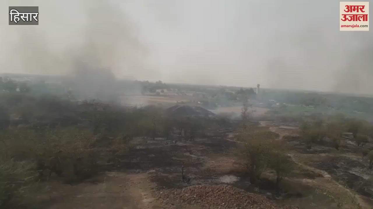 fire broke out in the forest spread on the historic mound of Agroha in Hisar, excavation work stopped