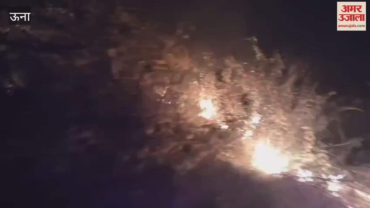 Una Bairia forest destroyed by fire forest department unaware