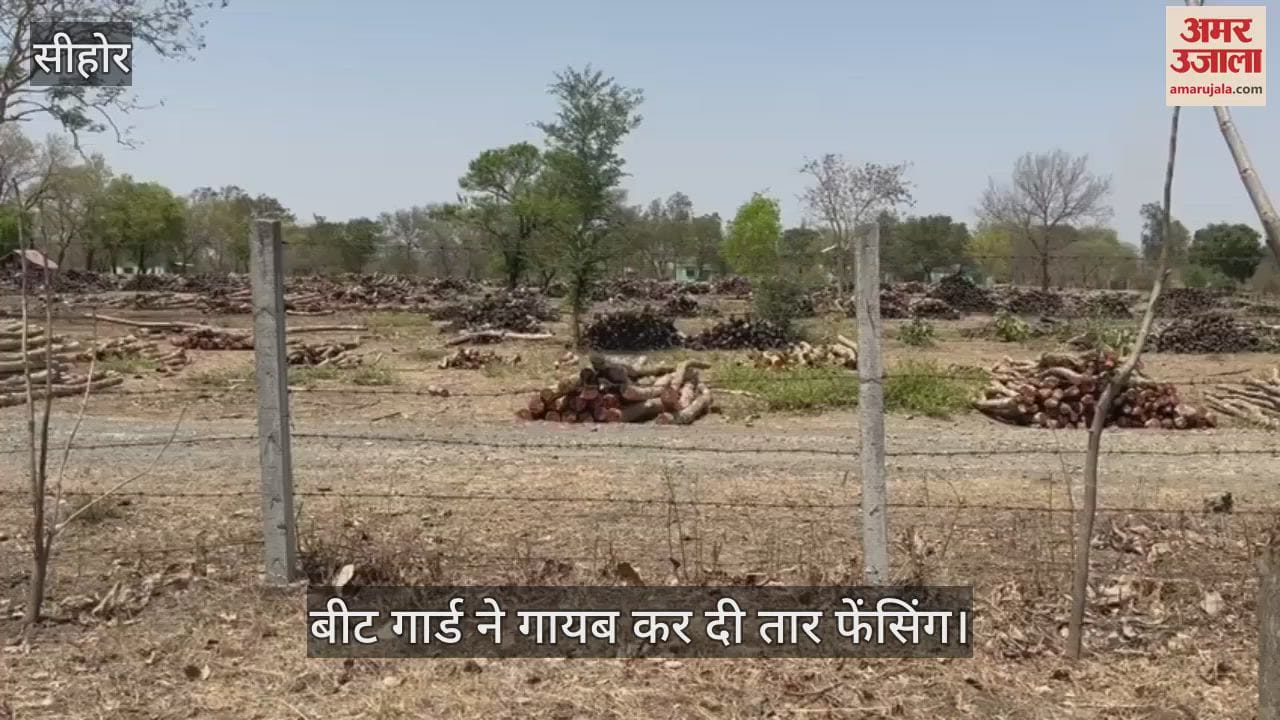 Sehore news: Forest department's beat guard made wire fencing worth lakhs disappear
