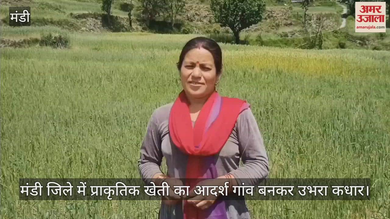 Kadhar emerged as a model village for natural farming in Mandi district