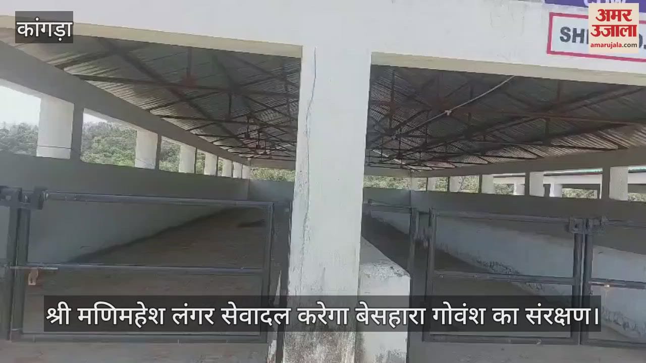 Shri Manimahesh Langar Seva Dal will protect helpless cows