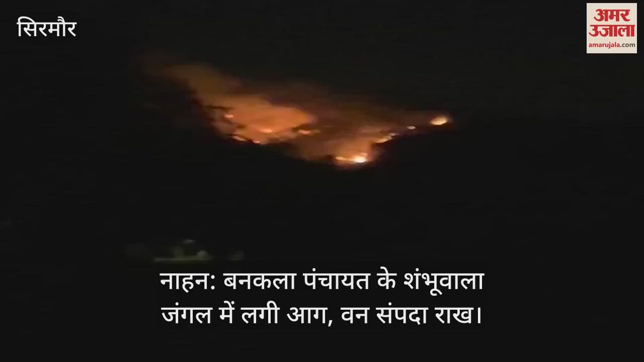 Nahan: Fire broke out in Shambhuwala forest of Bankala Panchayat, forest wealth reduced to ashes