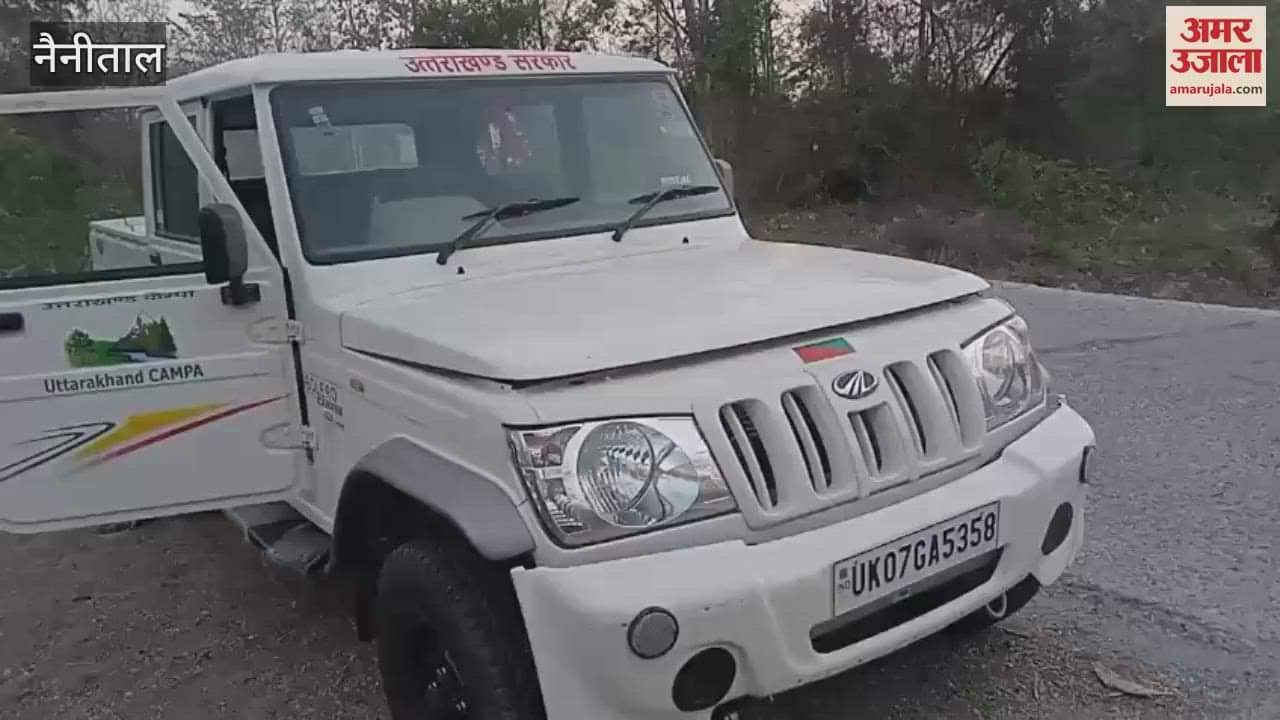 पीरूमदारा में घर में घुसा सेई, रेस्क्यू कर जंगल में छोड़ा