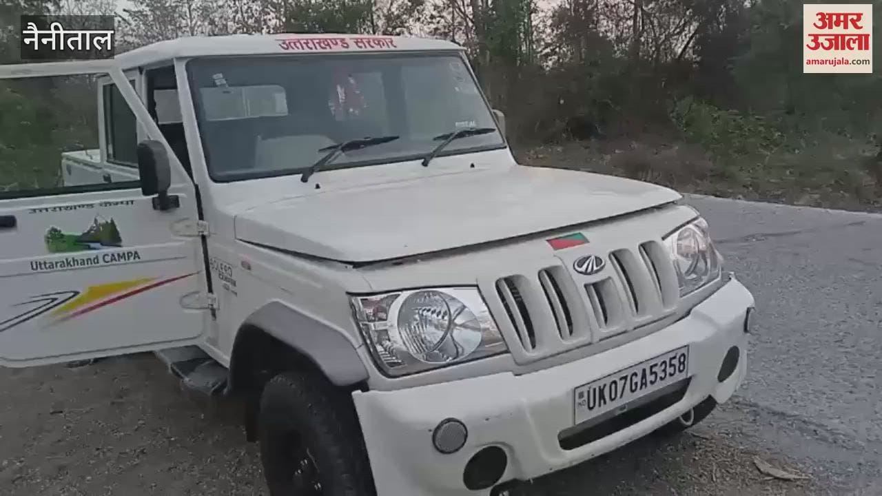 पीरूमदारा में घर में घुसा सेई, रेस्क्यू कर जंगल में छोड़ा