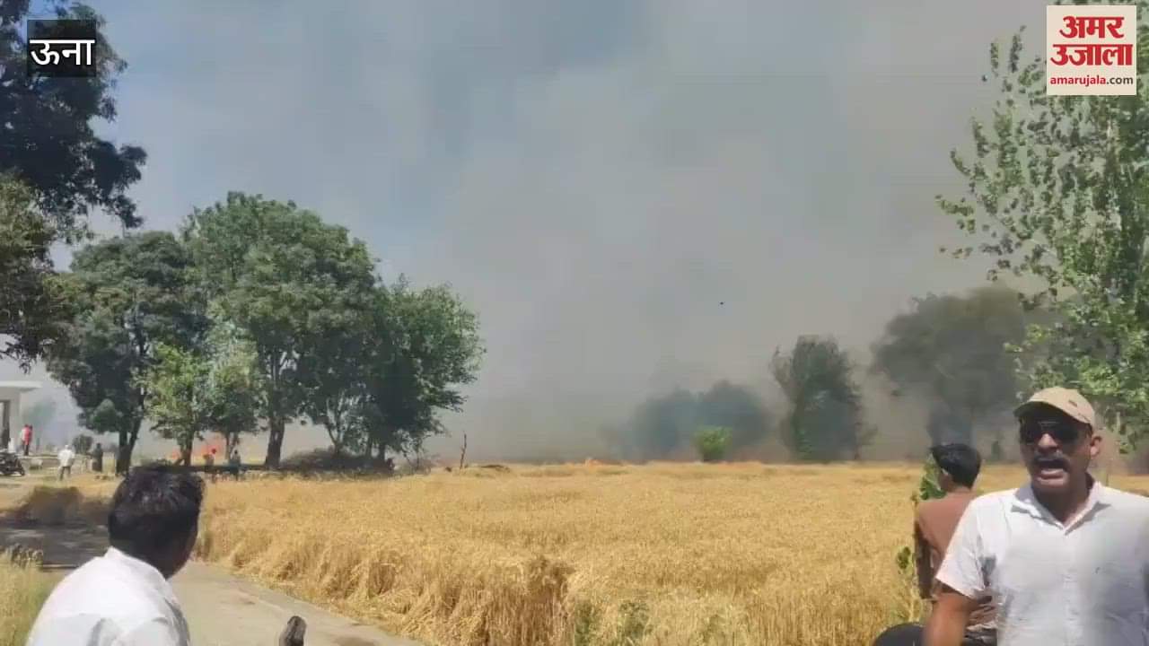 Una Nearly 200 kanal wheat crop was destroyed by fire in Pandoga village of Haroli