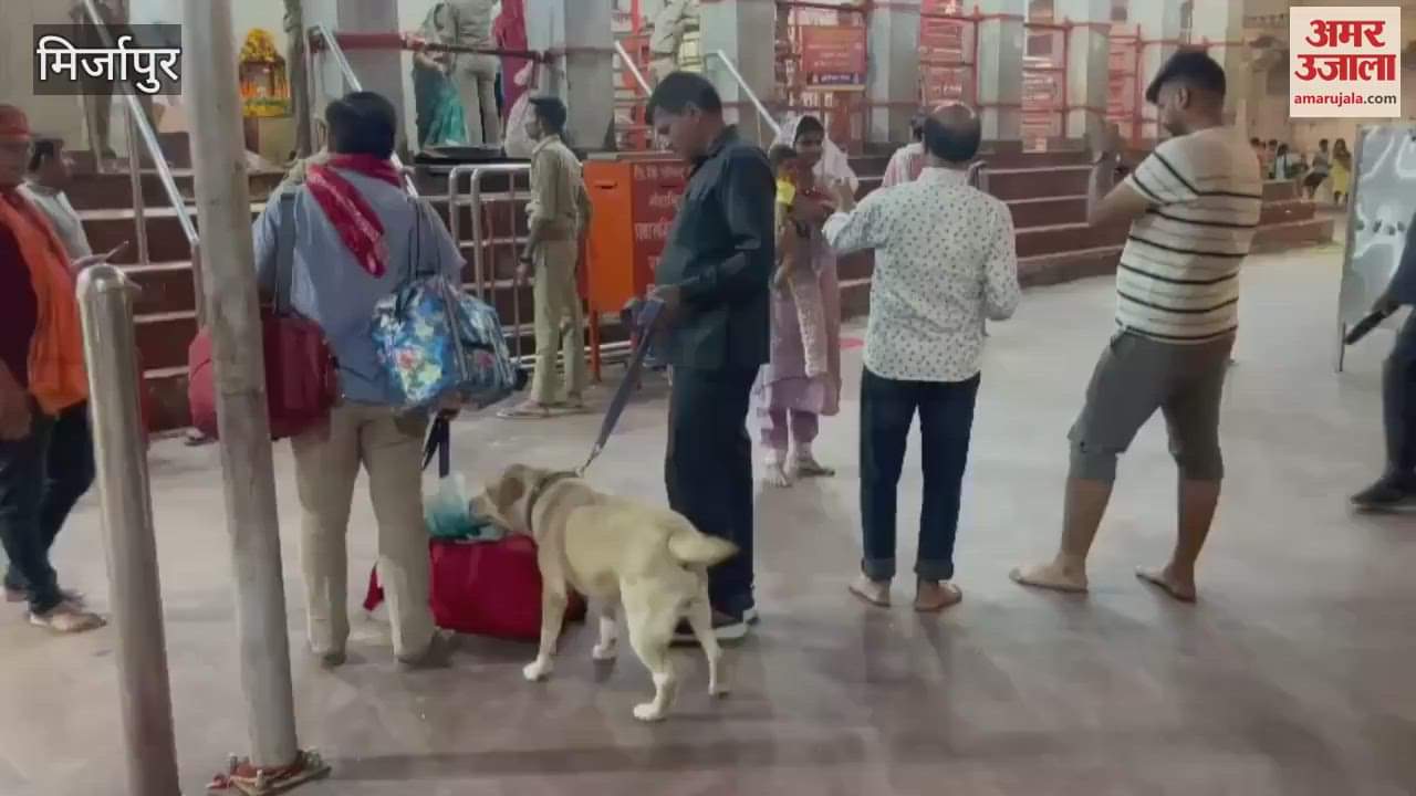 Checking campaign conducted in Vindhyachal Dham